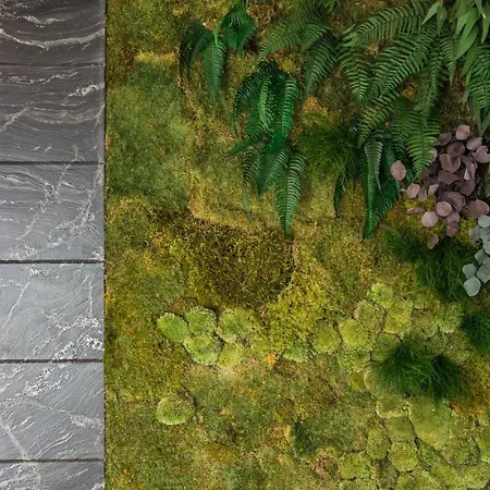 Villa Luxury Helios 5* Dubrovnik